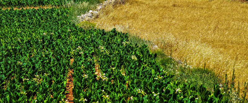 ME Namore Floricultura LTDA